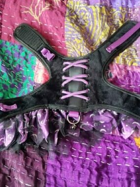 Black and Purple Lace-Up Pet Harness with Ruffle